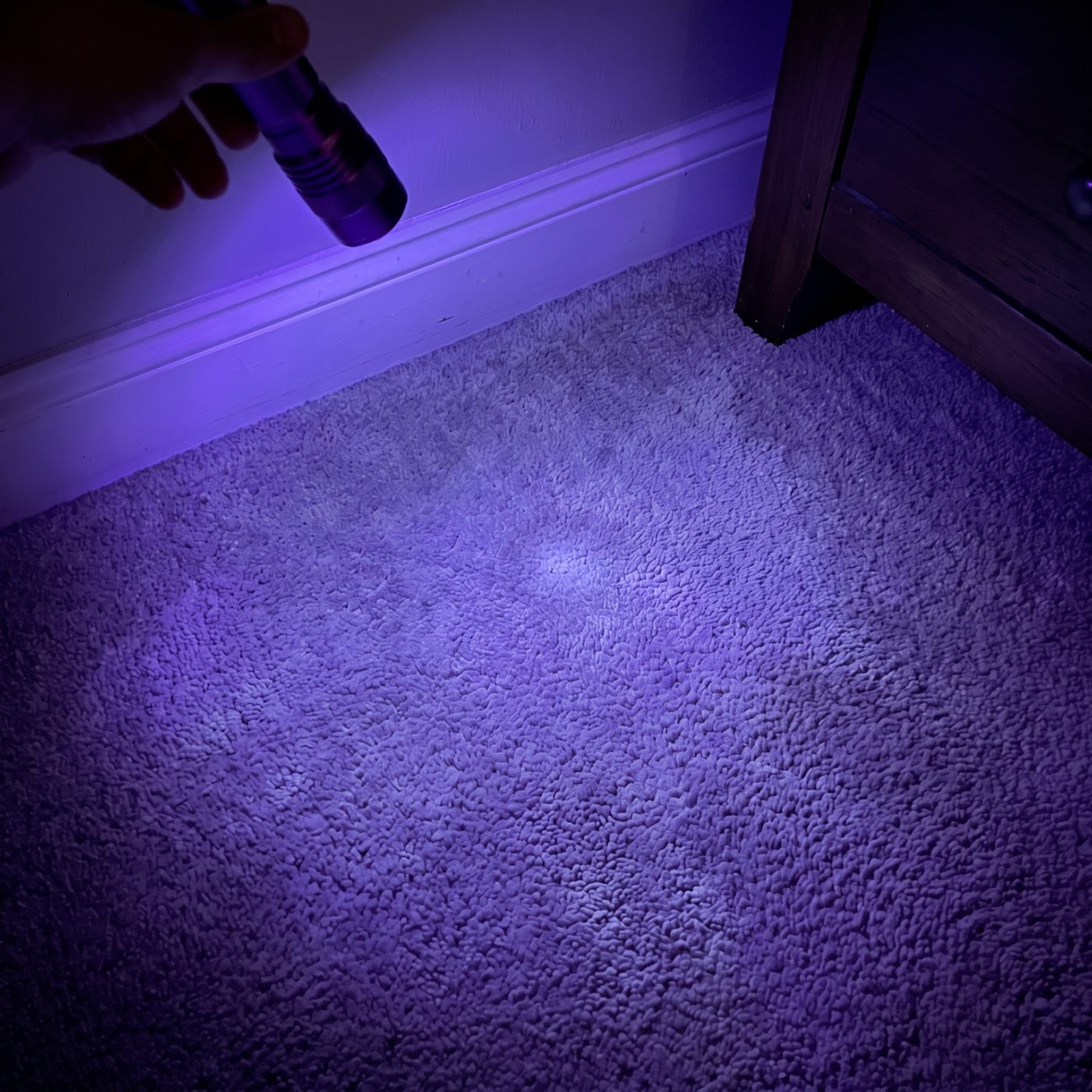 The same corner under the UV light after treatment, nothing glowing